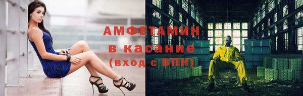 прущие грибы Вязьма