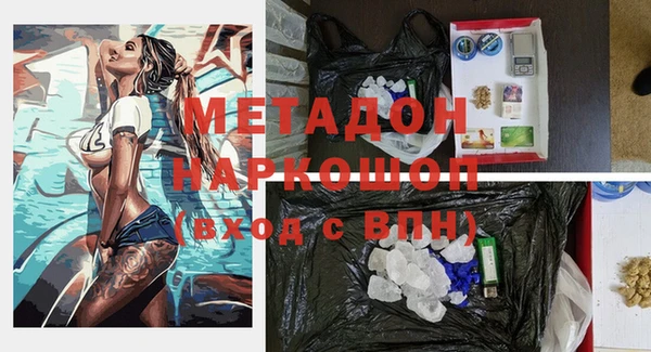 прущие грибы Вязьма