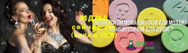 прущие грибы Вязьма