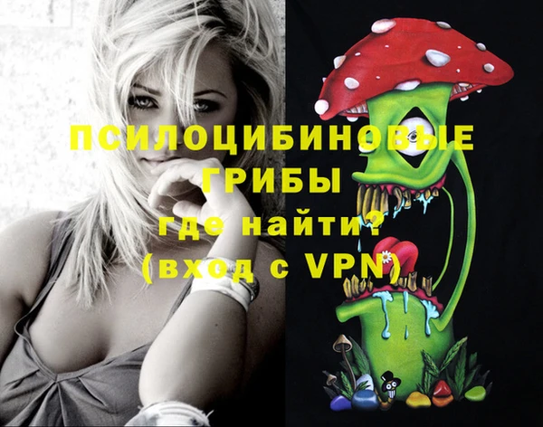 прущие грибы Вязьма