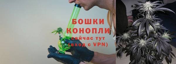 сатива Володарск