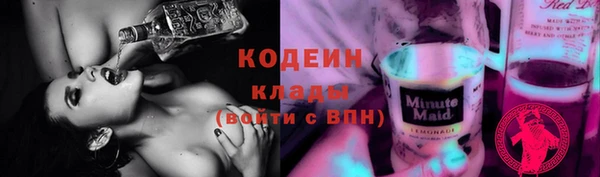 прущие грибы Вязьма