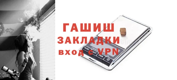 прущие грибы Вязьма