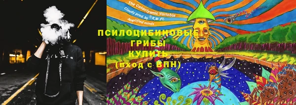 прущие грибы Вязьма