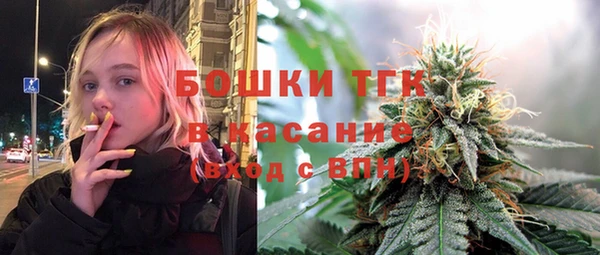 прущие грибы Вязьма